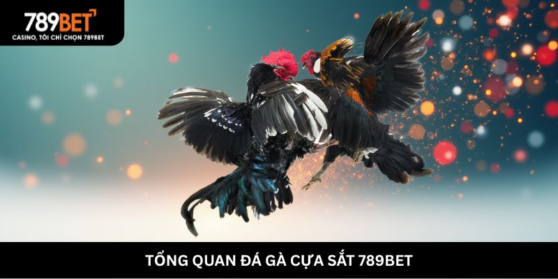 Tổng quan đá gà cựa sắt 789BET