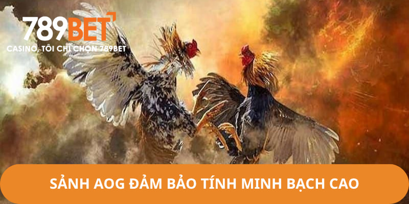 Sảnh chọi kê AOG đảm bảo được tính minh bạch và công bằng cho người chơi